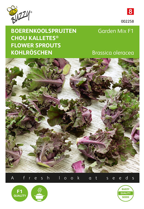Buzzy Seeds Kohlröschen Kalettes® F1 Garten Mischung