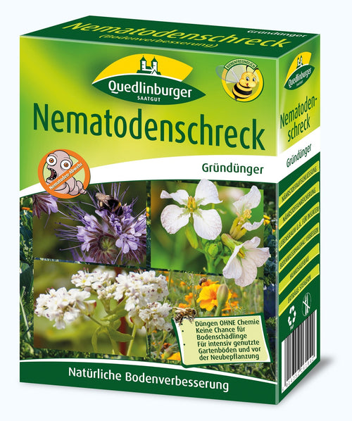 Quedlinburger Gründüngung Nematodenkiler