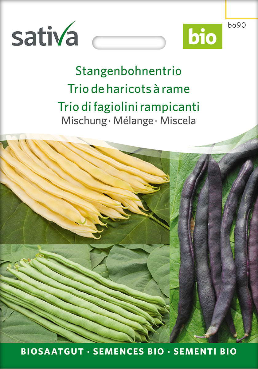 Sativa Mischung Stangenbohnentrio