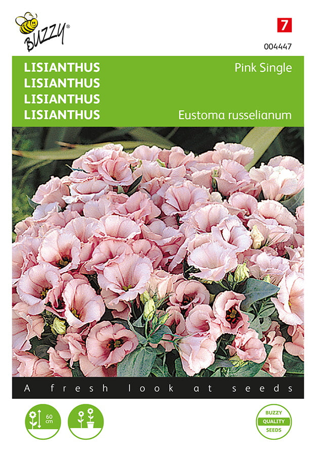 Buzzy Seeds Prärieenzian Pink Single