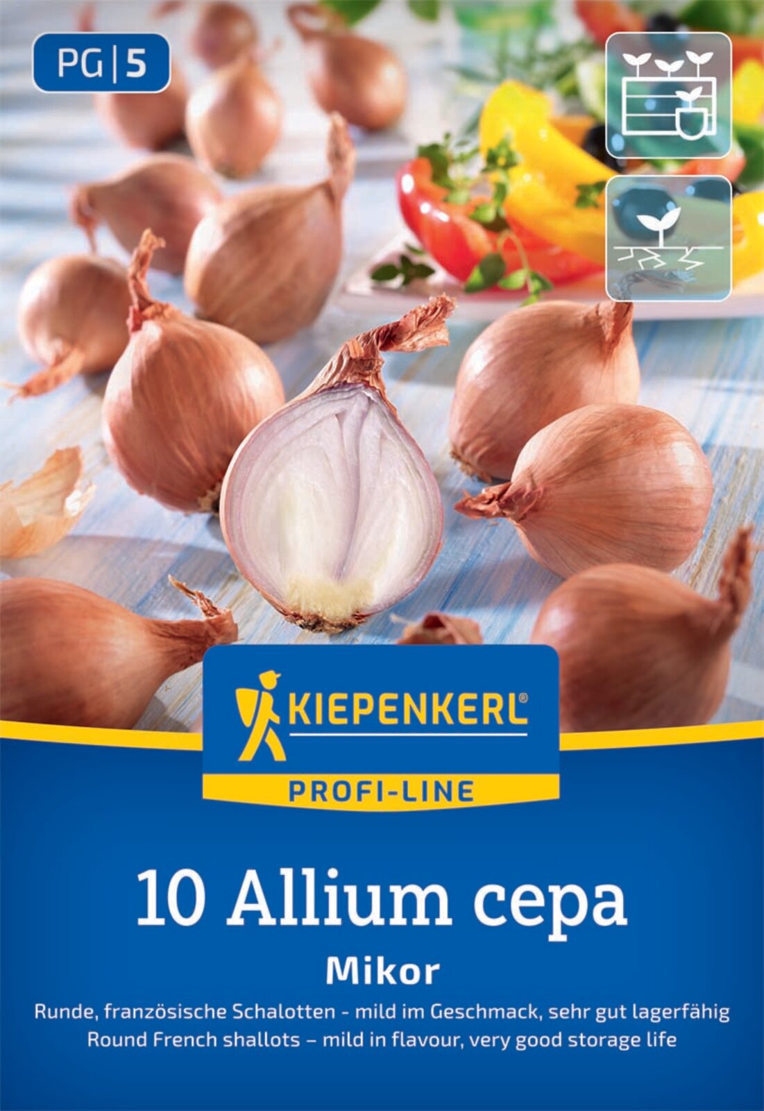 Kiepenkerl Schalotte Mikor 10 Stück