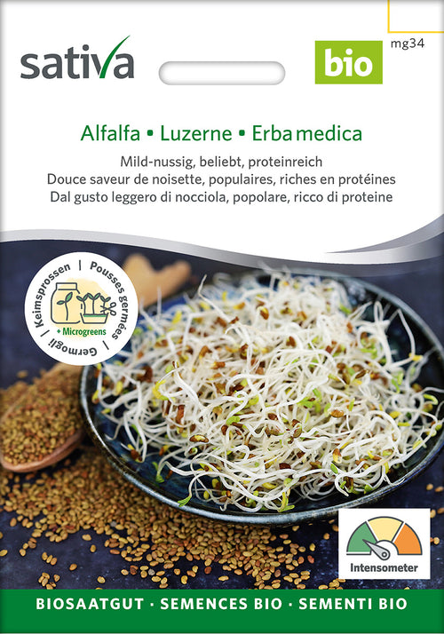 Sativa Keimsprossen Alfalfa/Luzerne