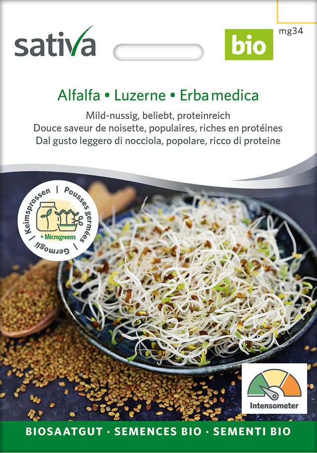 Sativa Keimsprossen Alfalfa/Luzerne