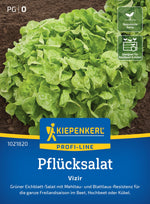 Kiepenkerl Pflücksalat Vizir