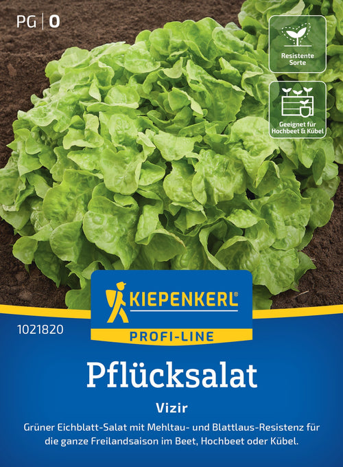 Kiepenkerl Pflücksalat Vizir