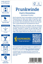 Kiepenkerl Prunkwinden Clark's Himmelblau