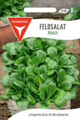 Frankonia Samen Feldsalat Match