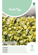 Horti Tops Portulak Gelber Breitblättriger