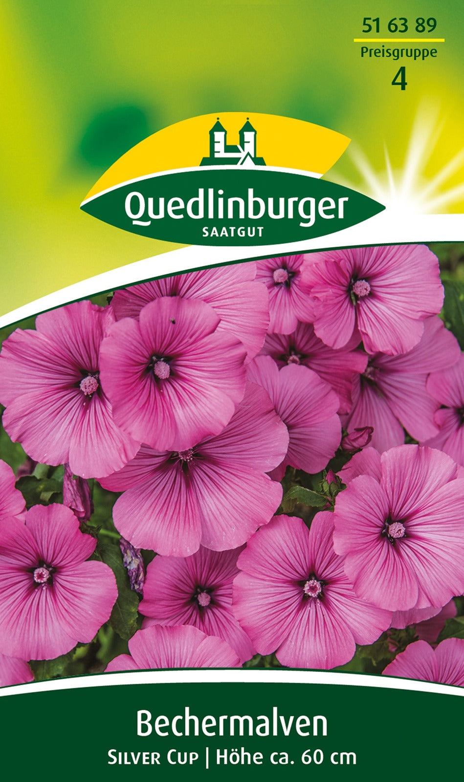 Quedlinburger Bechermalve Silver Cup, rosa