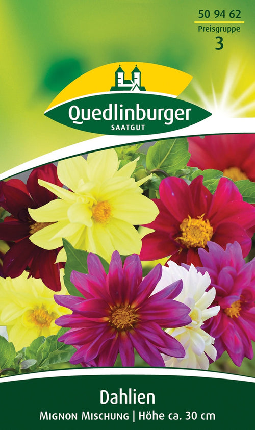 Quedlinburger Dahie Mignon Mischung