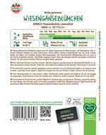 SPERLI Gänseblümchen SPERLI's Tausendschön