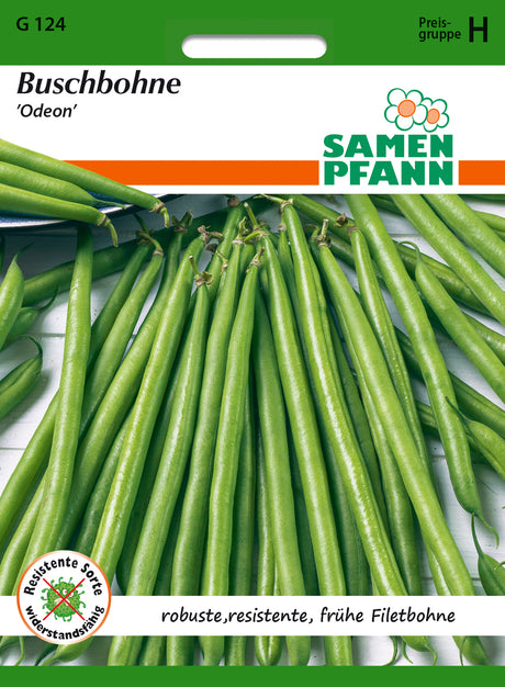 Samen Pfann Buschbohne Odeon