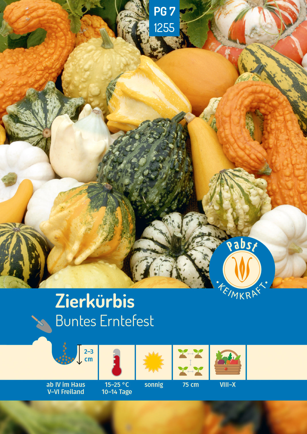 Pabst Keimkraft Zierkürbis Kleinfrüchtige Mischung