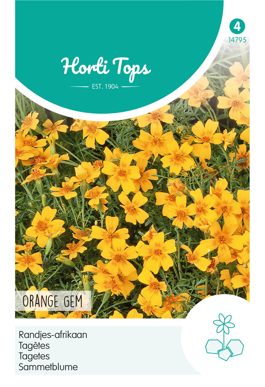 Horti Tops Tagetes Tenuifolia Orange
