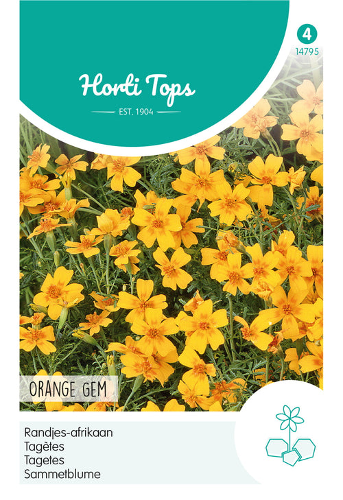 Horti Tops Tagetes Tenuifolia Orange