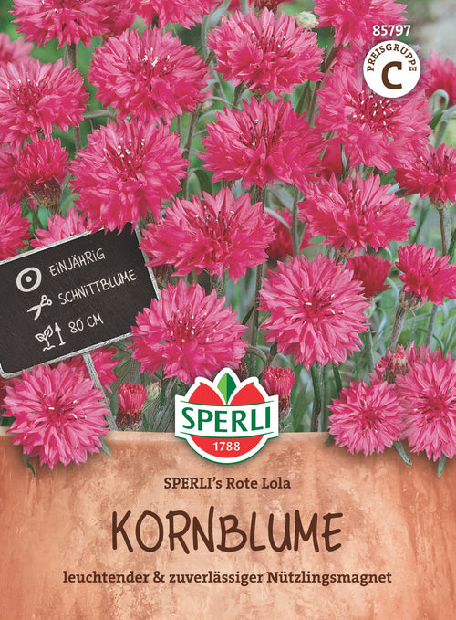 SPERLI Kornblume SPERLI's Rote Lola