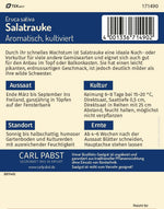 Pabst Keimkraft Salatrauke Aromatisch, kultiviert