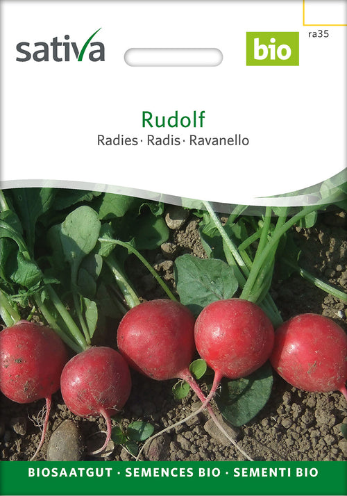 Sativa Radies Rudolf