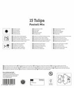 Mega-Pack Triumph-Tulpen Pastell-Mix