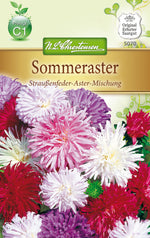 N.L. Chrestensen Sommeraster Straußenfeder Mischung