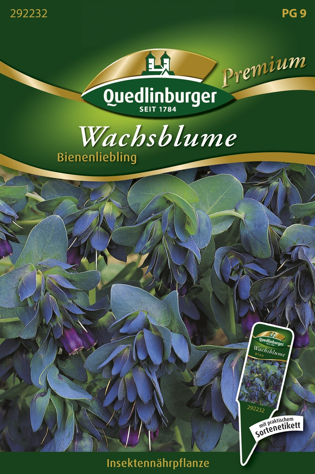 Quedlinburger Wachsblumen  Bienenliebling