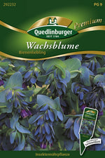 Quedlinburger Wachsblumen  Bienenliebling