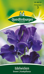 Quedlinburger Duftwicke Danny, blau 