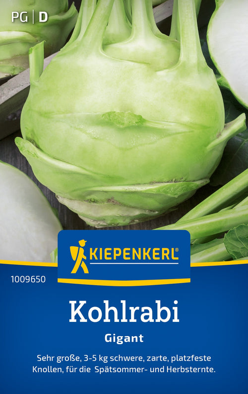 Kiepenkerl Kohlrabi Gigant