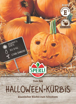 SPERLI Halloween-Kürbis Tom Fox