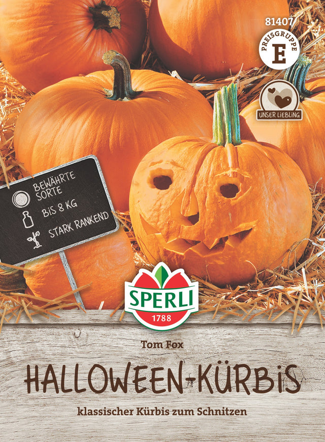 SPERLI Halloween-Kürbis Tom Fox