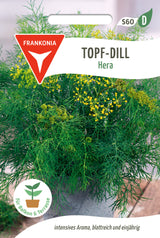 Frankonia Samen Dill Hera Topf