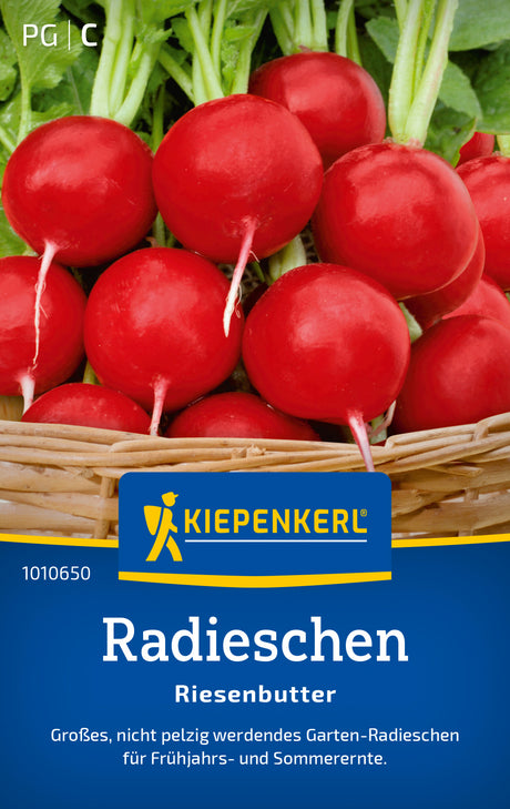 Kiepenkerl Radieschen Riesenbutter