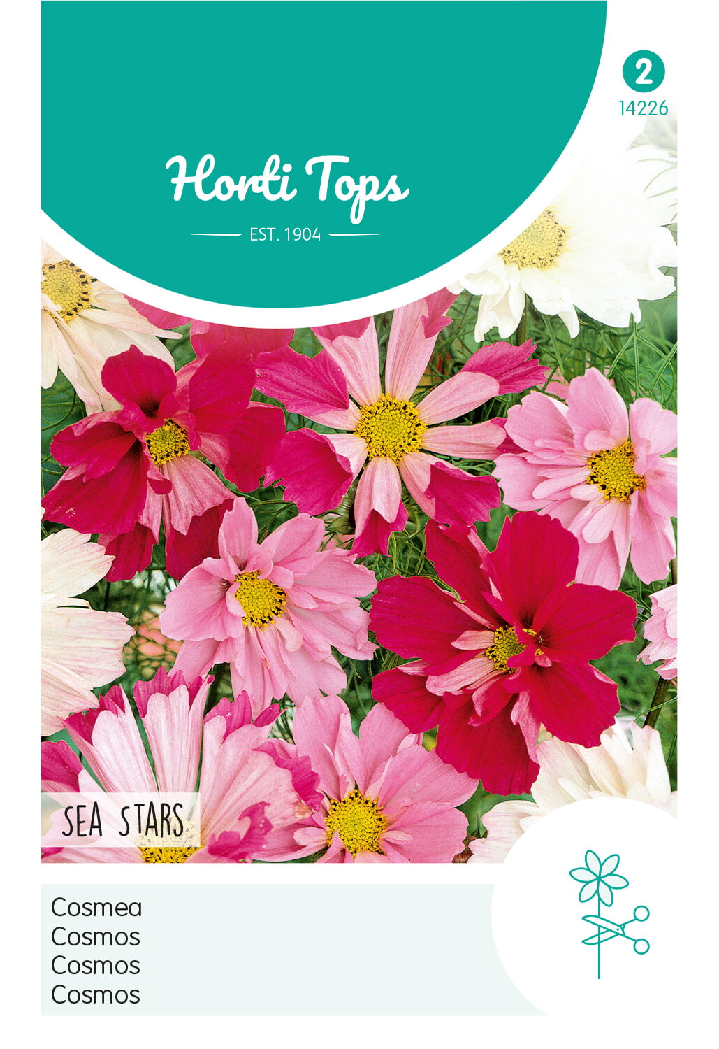 Horti Tops Kosmee Bipinnatus Sea Stars Mischung