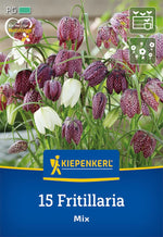 Schachbrettblumen Mischung