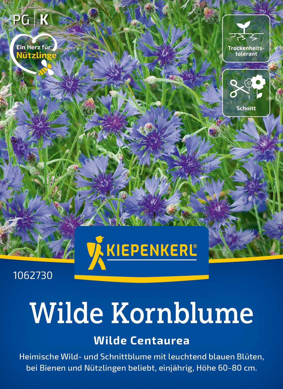 Kiepenkerl Kornblumen Wilde Centaurea