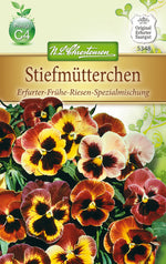 N.L. Chrestensen Viola witt. Frühe Riesen, Spezialmischung