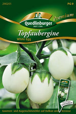 Quedlinburger Topfaubergine White Egg