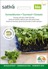 Sativa Keimsprossen Sonnenblumen