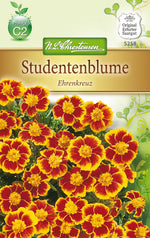 N.L. Chrestensen Tagetes Ehrenkreuz, einfachblühend