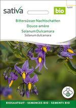 Sativa Solanum dulcamara Bittersüsser Nachtschatten