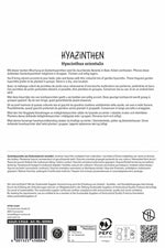 Hyazinthen Mischung