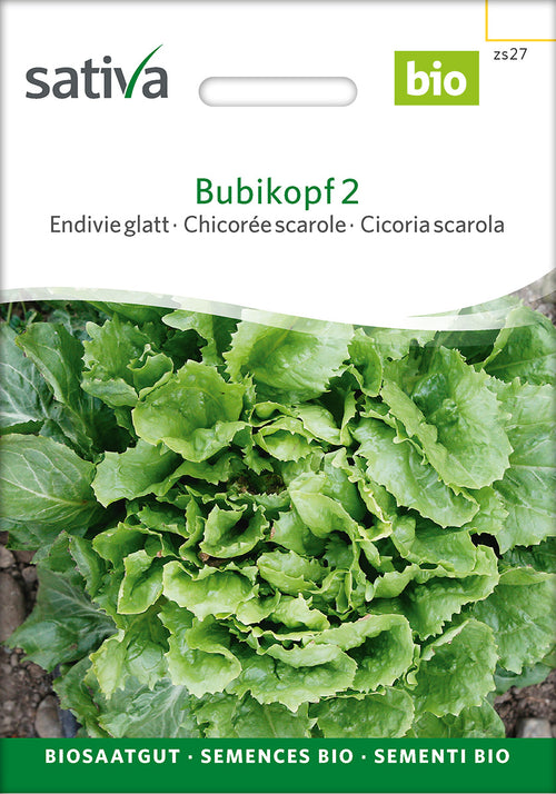Sativa Endivie glatt Bubikopf 2