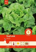 Pabst Keimkraft Kopfsalat Mona