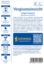 Kiepenkerl Vergissmeinnicht Indigo Compacta