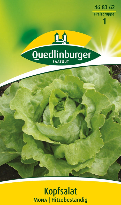 Quedlinburger Kopfsalat Mona