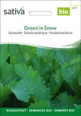 Sativa Asiasalat Green in Snow