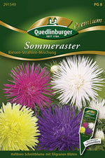 Quedlinburger Riesen Strahlenaster Mischung