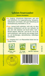 Quedlinburger Salvie Feuerzauber, rot