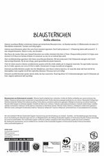 Sibirischer Blaustern