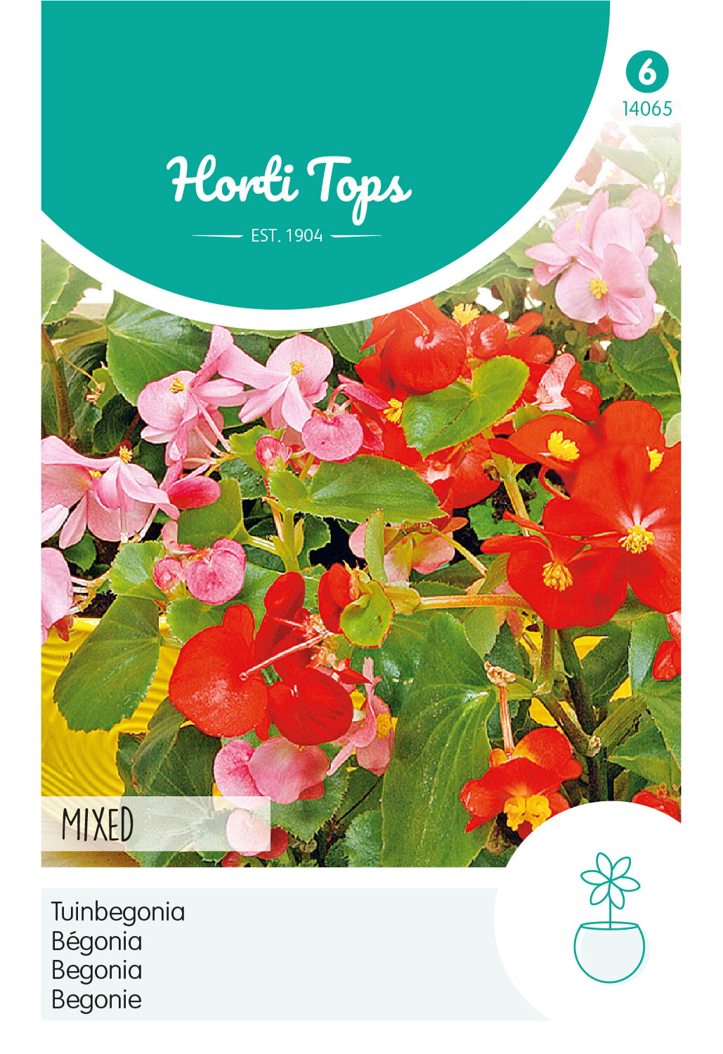 Horti Tops Begonie Semperflorens Mischung